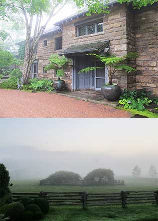 Martha ford collection #5